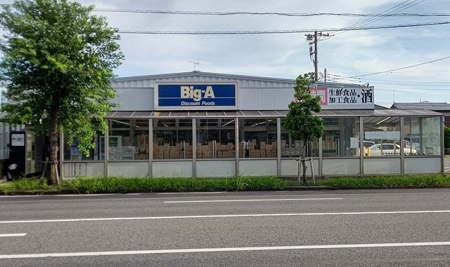 木下アパートＡの周辺|ビッグ・エー木下店まで1100m
