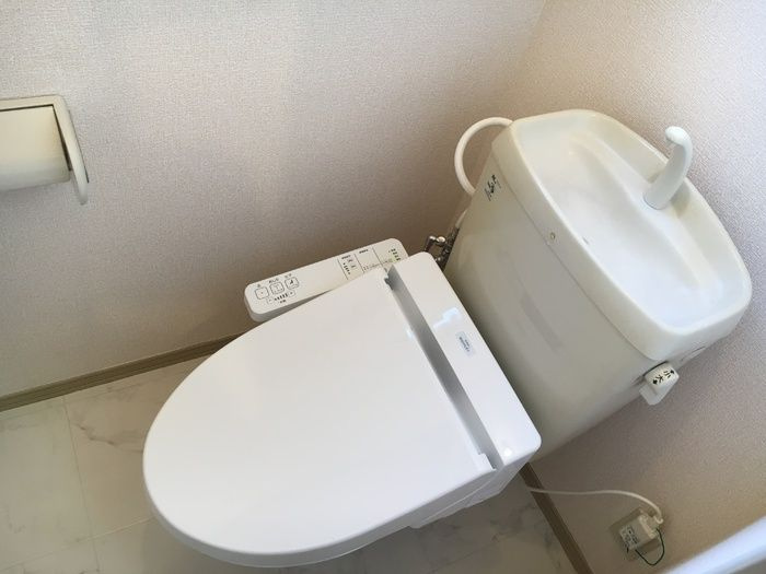 カサ・グランディスⅡのトイレ