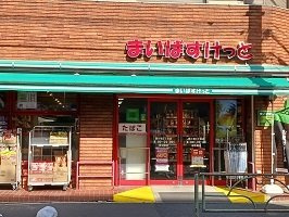ヒカルサ小岩の周辺|まいばすけっとまで350m