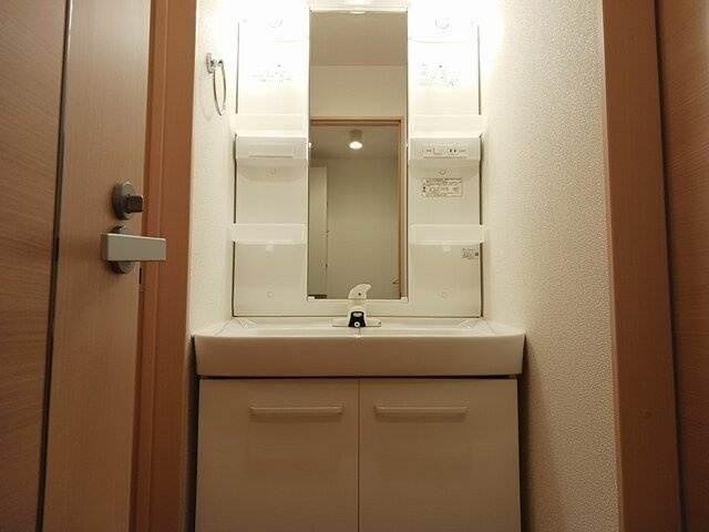 メゾンビューの洗面所