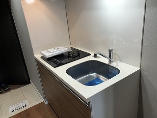 SYNEX PREMIER ASAKUSABASHIのキッチン|※過去退去時のお写真です
