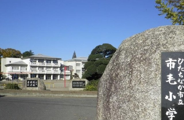 プリムヴェールの周辺|市立市毛小学校まで760m