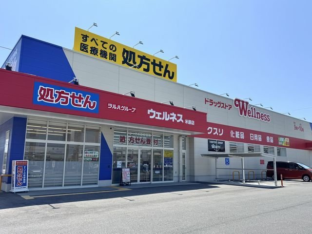 ソラリスガーデンの周辺|ウェルネス米原店まで700m