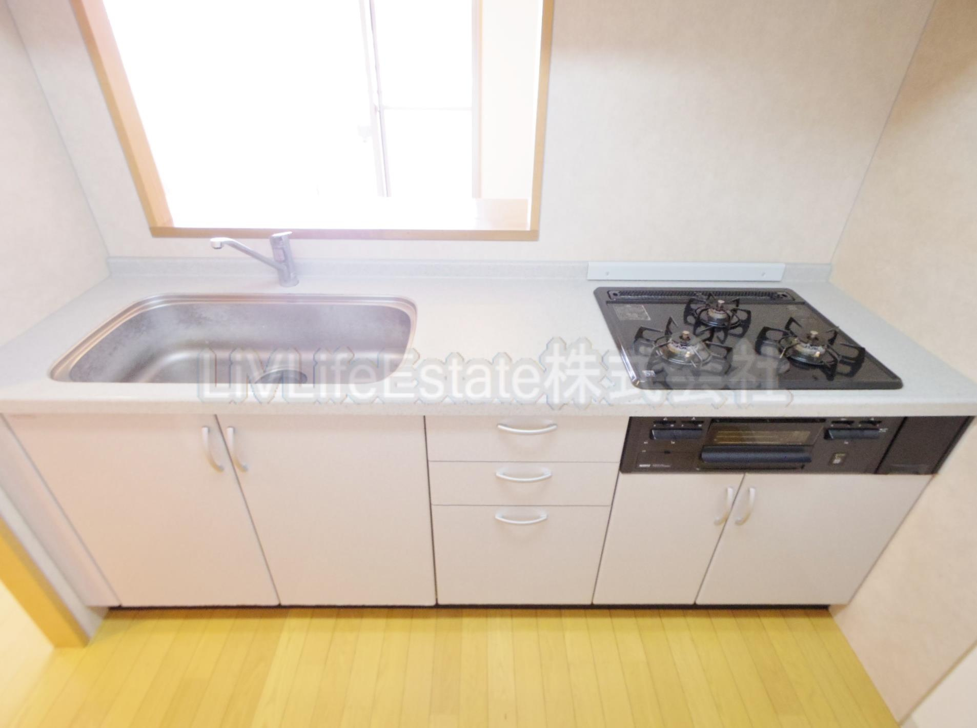 ＡＮＥＳＩＳ ＫＡＰＰＡ ＤＵＯのキッチン|※別号室写真
