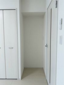リブリコンフォースツーのその他