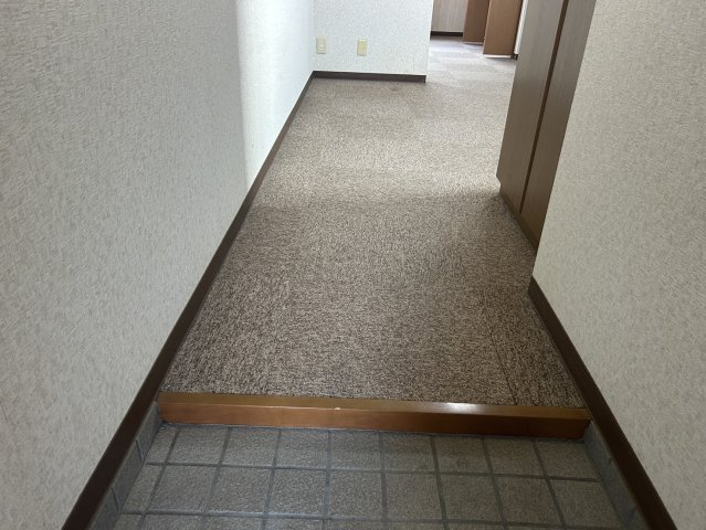 タウンズビルのその他