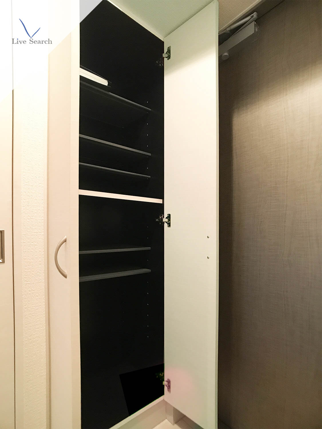福岡市中央区大手門２丁目の賃貸マンションの玄関