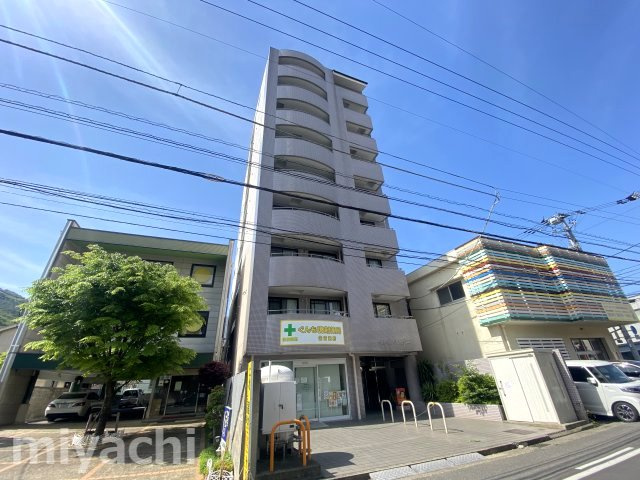 ロータスワゼルの外観