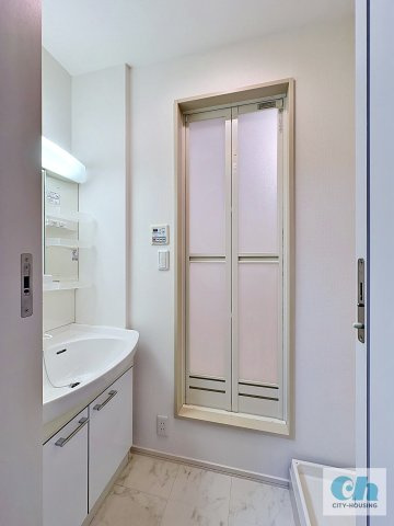 ブランシール武蔵小山 203号室の洗面所