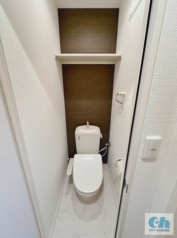 ブランシール武蔵小山 203号室のトイレ
