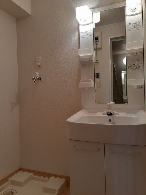 フランの洗面所