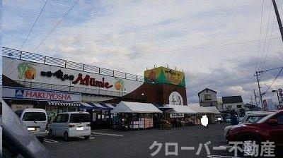 レジデンス・林Ｂの周辺|ムーミー林店さんまで1200m
