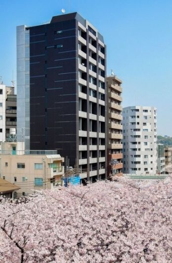 パークフラッツ中目黒の画像