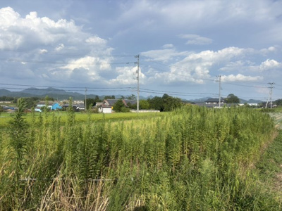 【外観】 | 三田市下相野　土地1