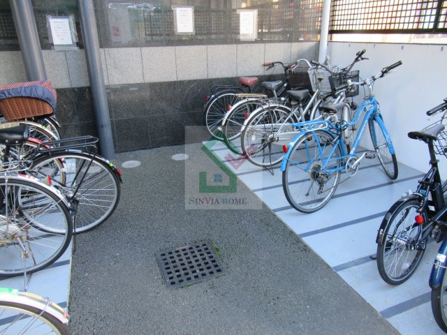 桜WILLのその他