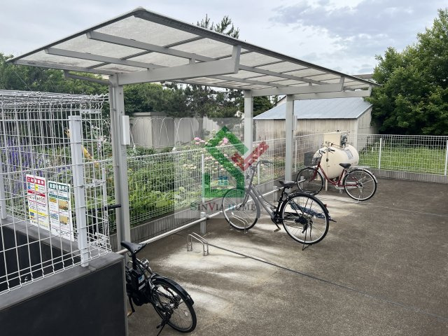 リベルタのその他