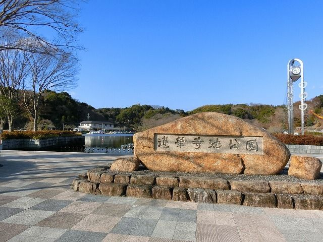 グラース　１７のその他