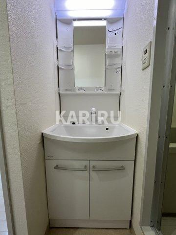 メルローズ鶴見の洗面所