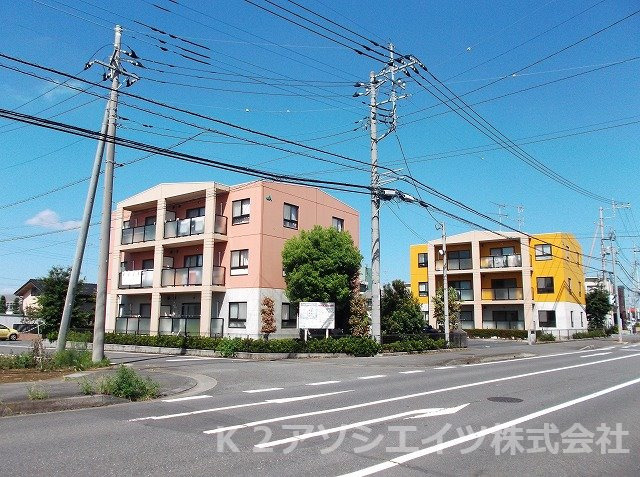 【外観】 | ペイルルバード