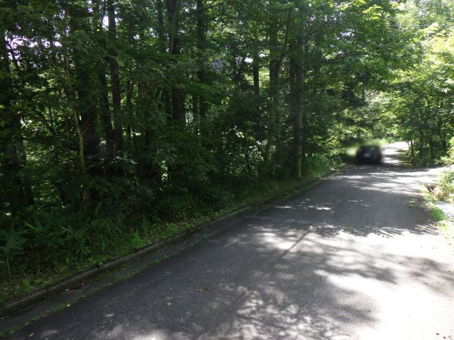 セラヴィリゾート泉郷八ヶ岳②の前面道路含む現地写真