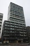 ＲｉｓｉｎｇｐｌａｃｅＫａｍｅｉｄｏの画像
