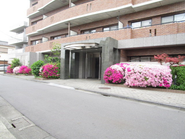 カンパーニャのその他|★植栽★