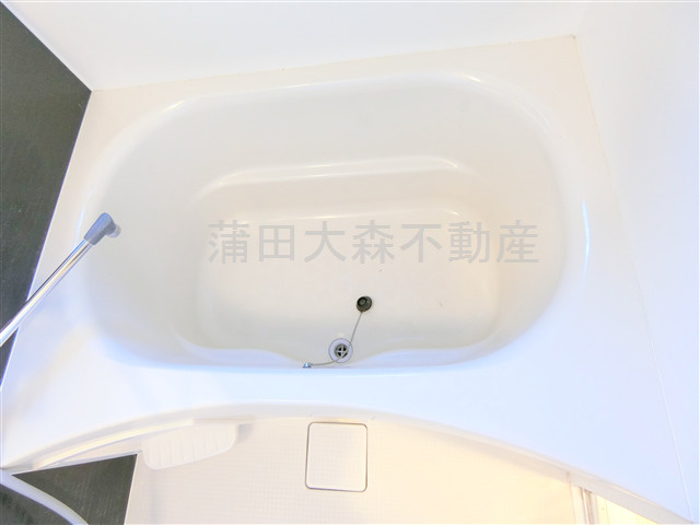 ロアール蒲田弐番館の浴室