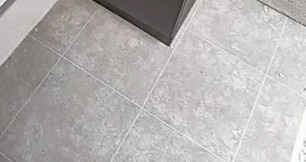 プルミエール　よつ木のその他