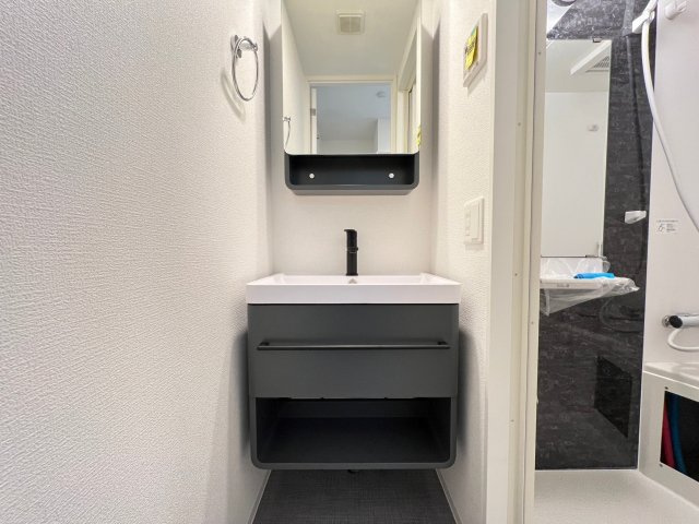 セレニテ難波グランデノールの独立洗面台