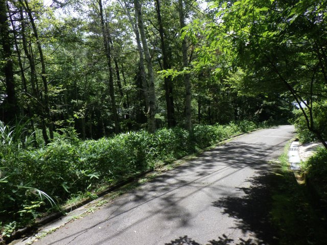 セラヴィリゾート泉郷八ヶ岳③の前面道路含む現地写真