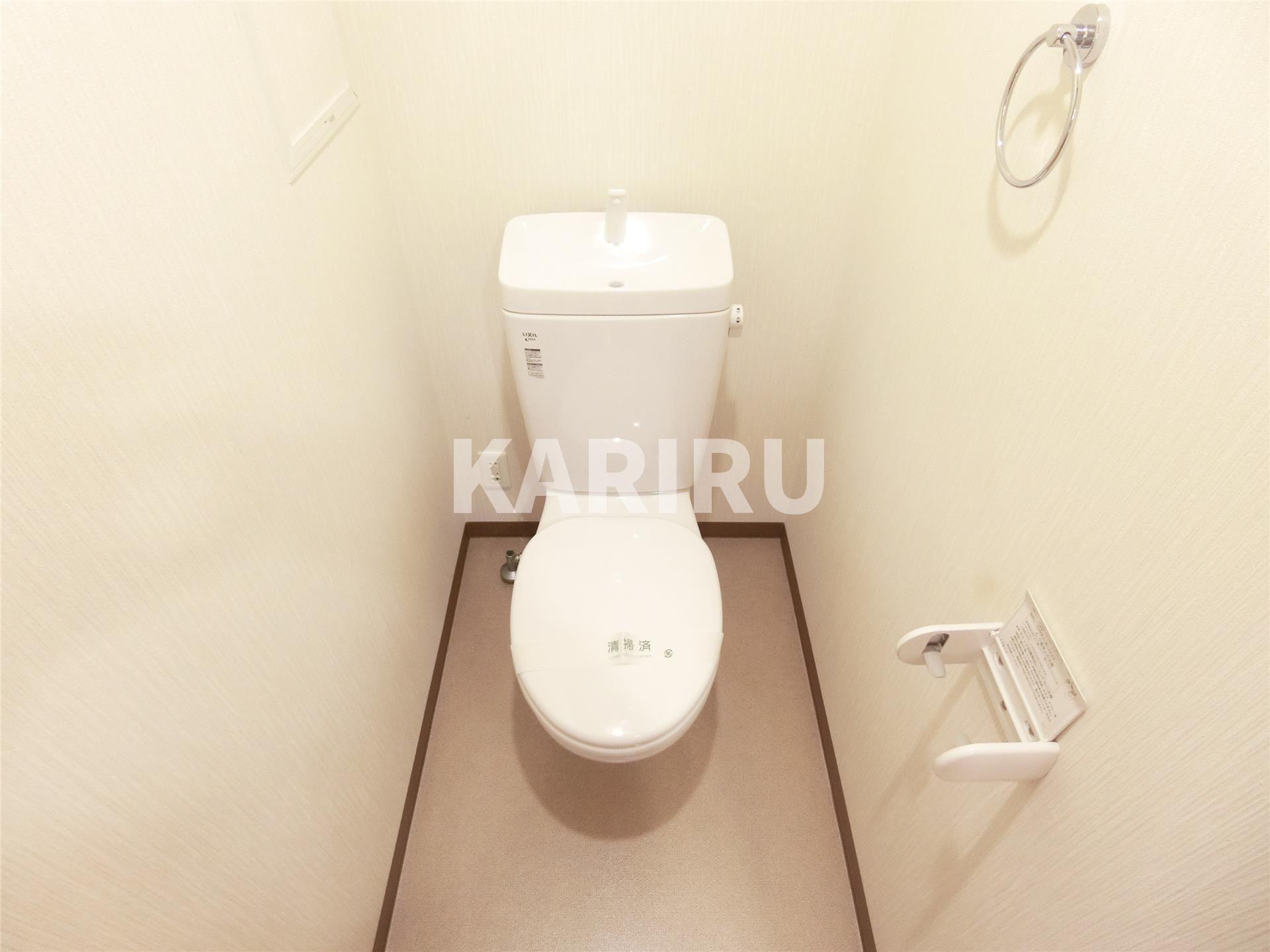 グリーンハウスウエコーのトイレ