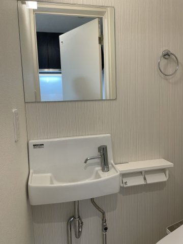グランスクエア亀戸の洗面所