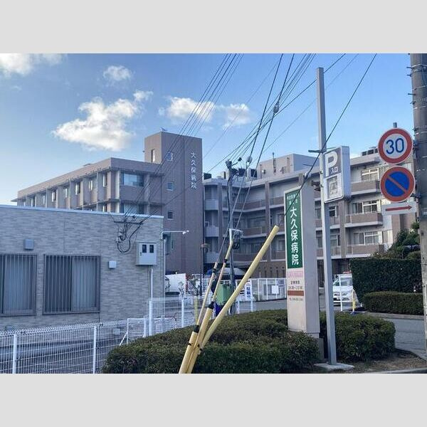 ステラフォーリアの周辺