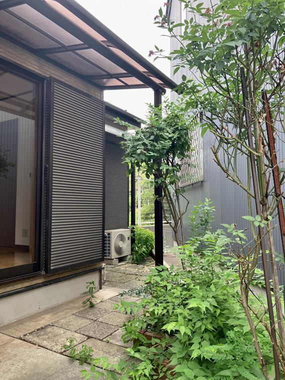 柏ケ谷戸建の庭