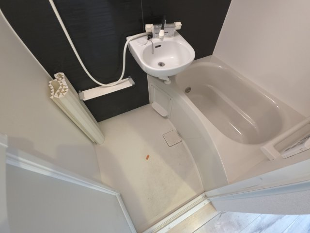 ペガサス・ステーション・プラザ小岩の浴室
