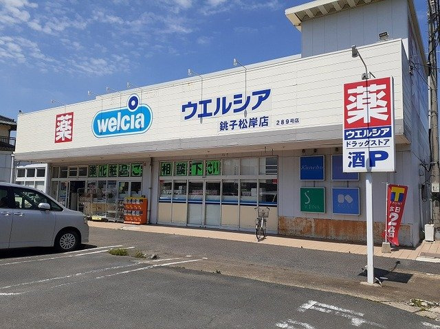 ウエルシア銚子松岸店まで1000m