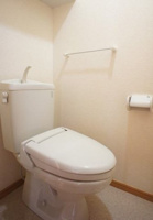 落ち着いた色調のトイレです