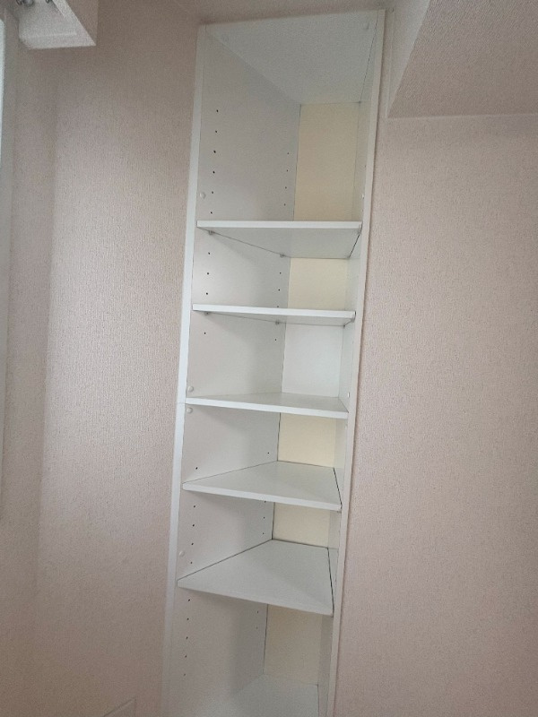 港区六本木２丁目の賃貸マンションの収納