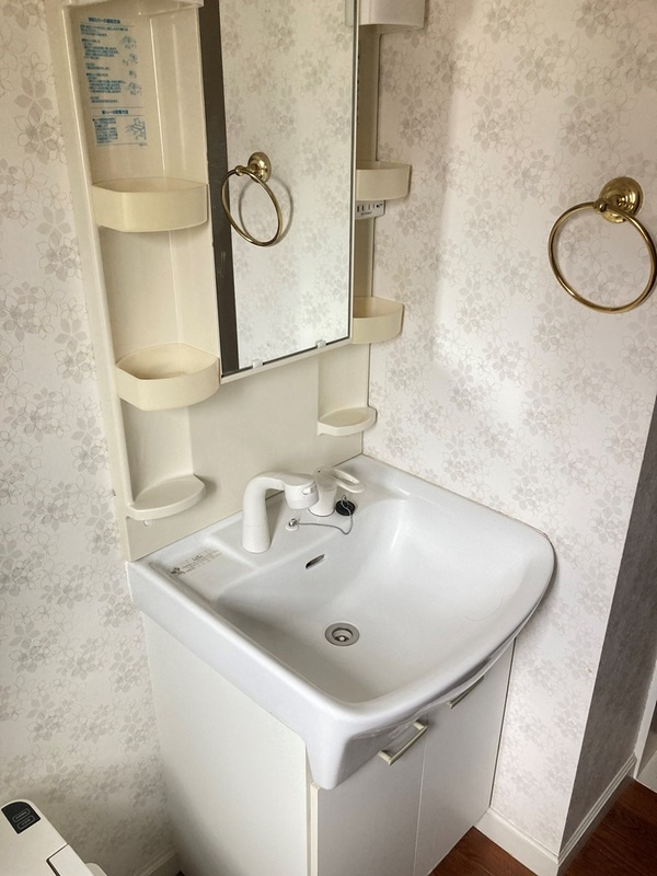 板橋区大山西町のアパートの独立洗面台