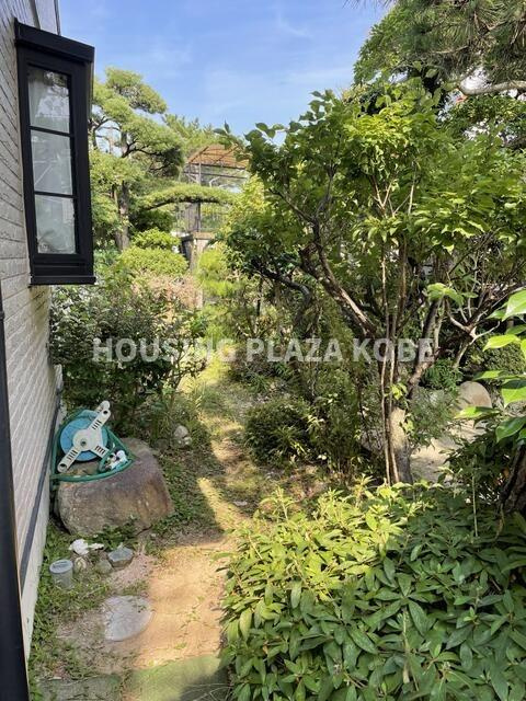桜木町２丁目貸家の庭
