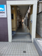 毎日通るエントランスはこのようになっています