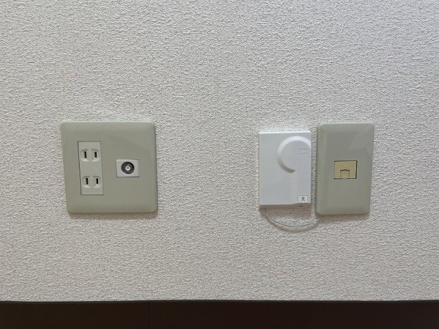 中はこのようになっています