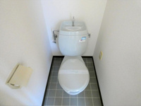 落ち着いた色調のトイレです
