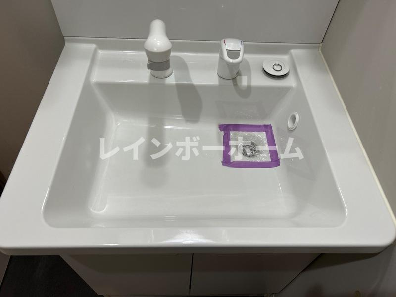 エシエル 仲介手数料（賃料の1.10ヵ月）の50％OFF対象物件！の洗面所|使いやすい洗面所です