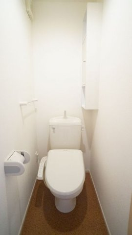 プルメリアのトイレ