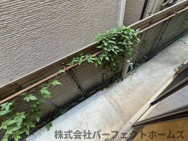 【その他】の画像