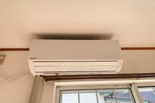 アムールのその他