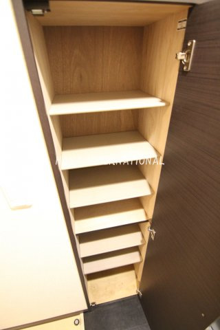 レオネクストドムスの収納