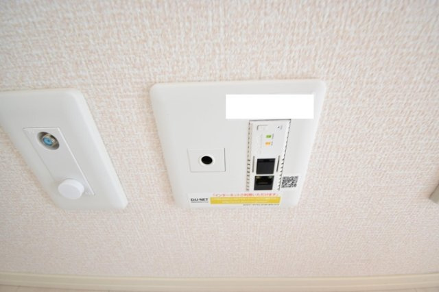 グレイシア|インターネット接続