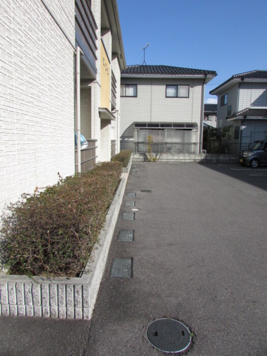 レセンテ林の周辺|周辺